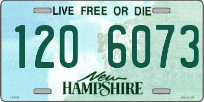 NH license plate 1206073