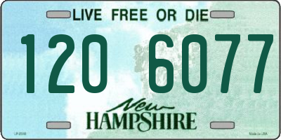 NH license plate 1206077