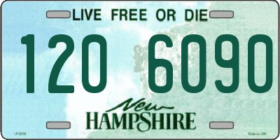 NH license plate 1206090