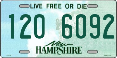 NH license plate 1206092