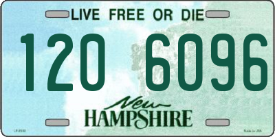 NH license plate 1206096