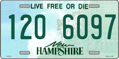 NH license plate 1206097