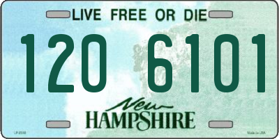 NH license plate 1206101