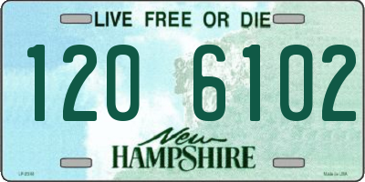 NH license plate 1206102