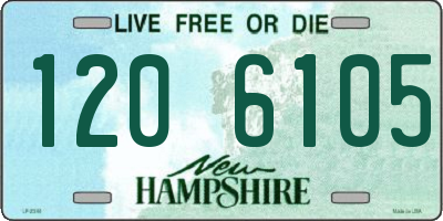 NH license plate 1206105