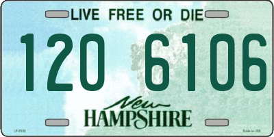 NH license plate 1206106