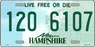 NH license plate 1206107