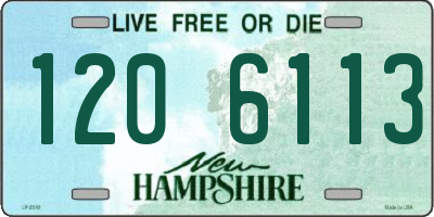 NH license plate 1206113