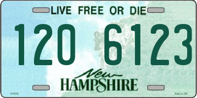 NH license plate 1206123