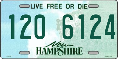 NH license plate 1206124