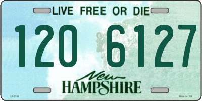 NH license plate 1206127