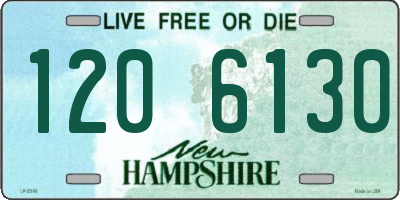 NH license plate 1206130