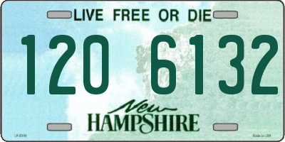 NH license plate 1206132