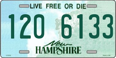 NH license plate 1206133