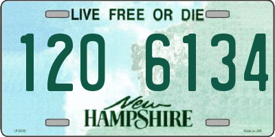 NH license plate 1206134