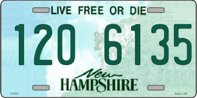 NH license plate 1206135