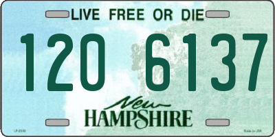 NH license plate 1206137