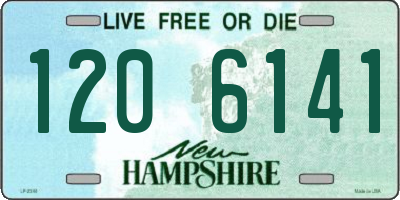 NH license plate 1206141