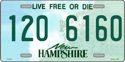 NH license plate 1206160
