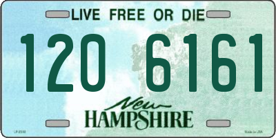 NH license plate 1206161