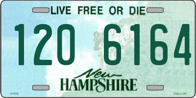 NH license plate 1206164