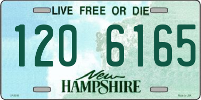 NH license plate 1206165