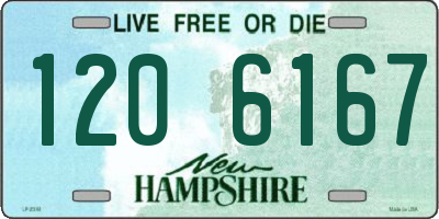 NH license plate 1206167