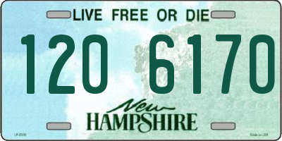 NH license plate 1206170