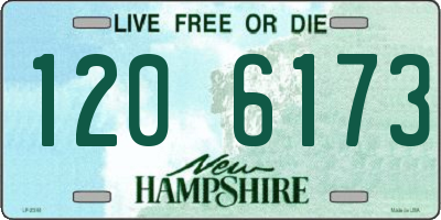 NH license plate 1206173