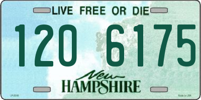 NH license plate 1206175
