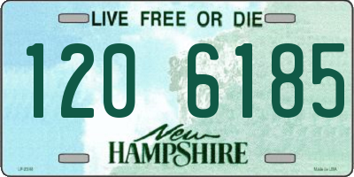 NH license plate 1206185