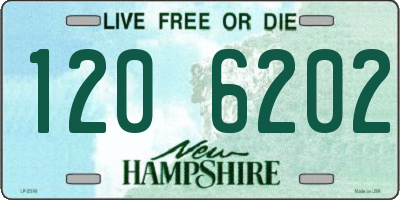 NH license plate 1206202