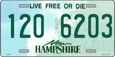 NH license plate 1206203