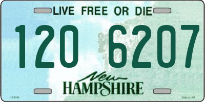 NH license plate 1206207