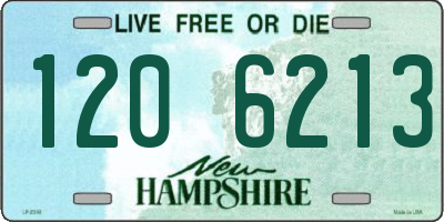 NH license plate 1206213