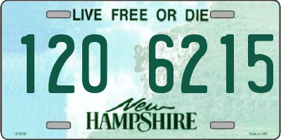 NH license plate 1206215