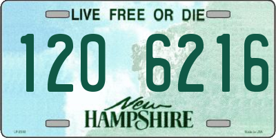 NH license plate 1206216