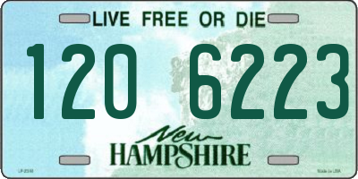 NH license plate 1206223