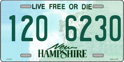 NH license plate 1206230