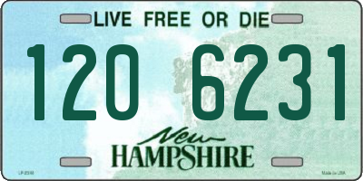 NH license plate 1206231