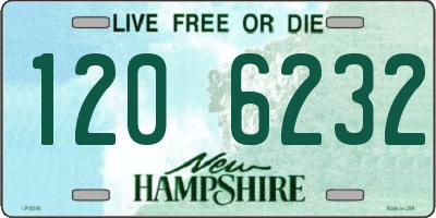 NH license plate 1206232