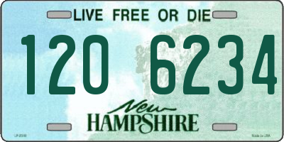 NH license plate 1206234