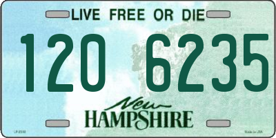 NH license plate 1206235
