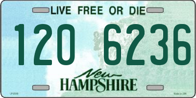NH license plate 1206236