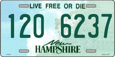 NH license plate 1206237