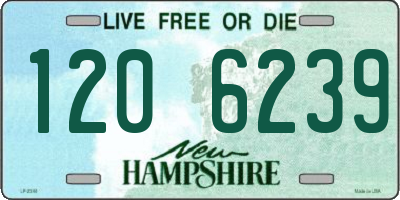 NH license plate 1206239