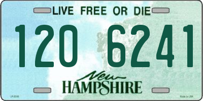 NH license plate 1206241