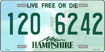 NH license plate 1206242