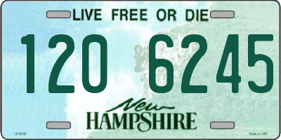 NH license plate 1206245