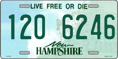 NH license plate 1206246